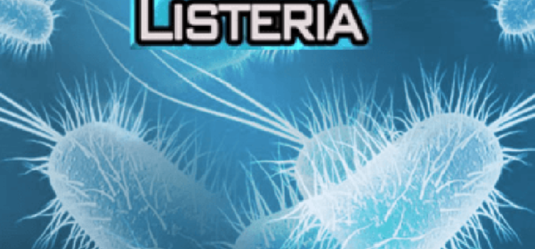 Лістеріоз – інфекційне захворювання
